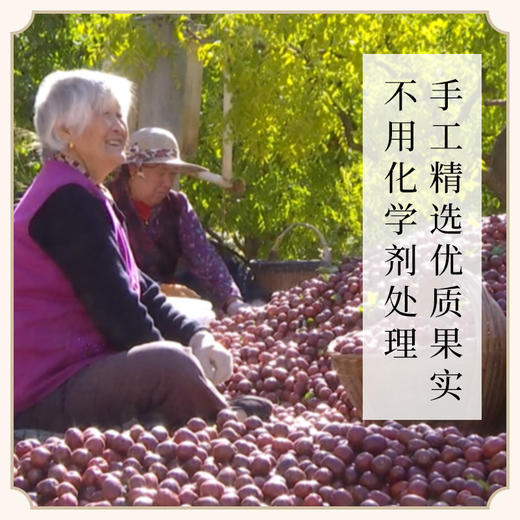 西北黄土高原天然生长大红枣 不用化学剂处理 手工精选优质果实 750g/袋气血姜枣茶原料 商品图2