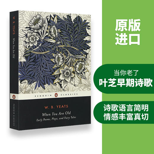 When You Are Old Early Poems 当你老了 英文原版 叶芝早期诗歌戏剧童话故事作品文集 Yeats 获诺贝尔奖 英文版文学进口书籍 商品图2