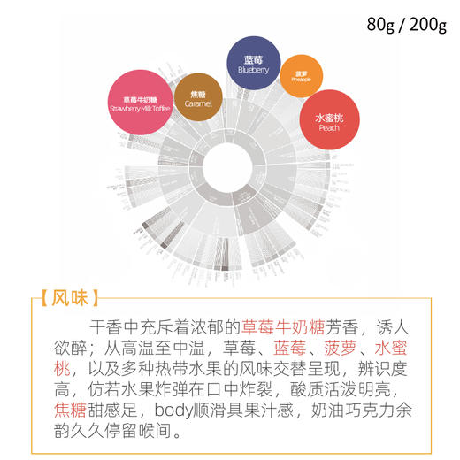 水果炸弹埃塞俄比亚COE#12精品手冲咖啡豆新鲜烘焙现磨粉80/200g 商品图3