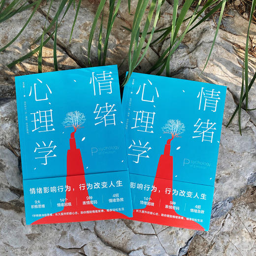 情绪心理学 王小军 著 心理学 商品图1