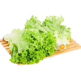 绿源禾心有机生菜500g/袋