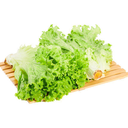 绿源禾心有机生菜500g/袋 商品图0