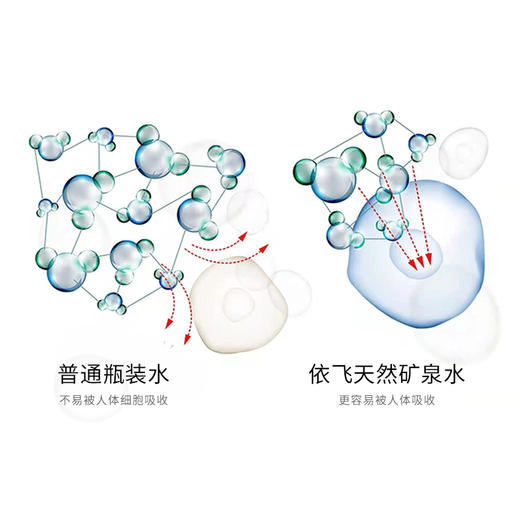 eefit依飞天然矿泉水（单箱超值活动体验价） 商品图5
