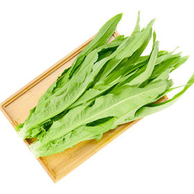 绿源禾心有机油麦菜