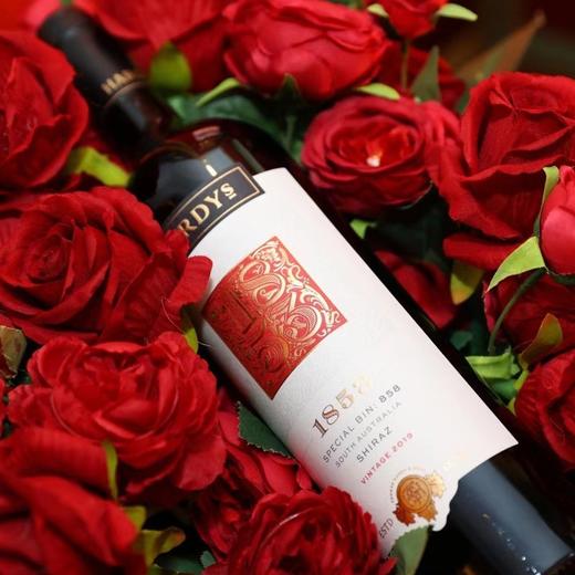 夏迪1853设拉子干红葡萄酒750ml 商品图3