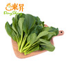 东升供港菜心苗 小菜心 菜薹苗 广州蔬菜新鲜配送 250g 商品缩略图0