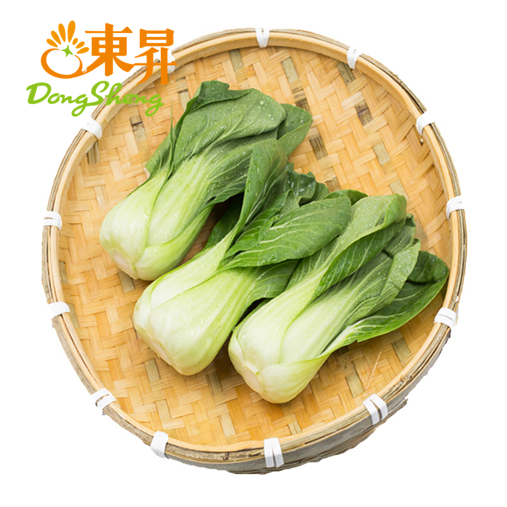 东升农场 上海青 鸡毛菜油菜白菜 广州蔬菜新鲜配送 300g