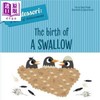 【中商原版】Montessori 蒙台梭利 一只燕子的诞生 Birth of a Swallow 英文原版进口 儿童绘本图画书 幼教启蒙纸板书 3岁以上 商品缩略图1