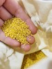 周五取货：【黄小米】一袋4斤，米油含量高，米香味浓郁，绿色，健康，营养！ 商品缩略图0