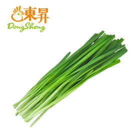 东升农场 韭菜 懒人菜 扁菜 广州蔬菜新鲜配送 150g