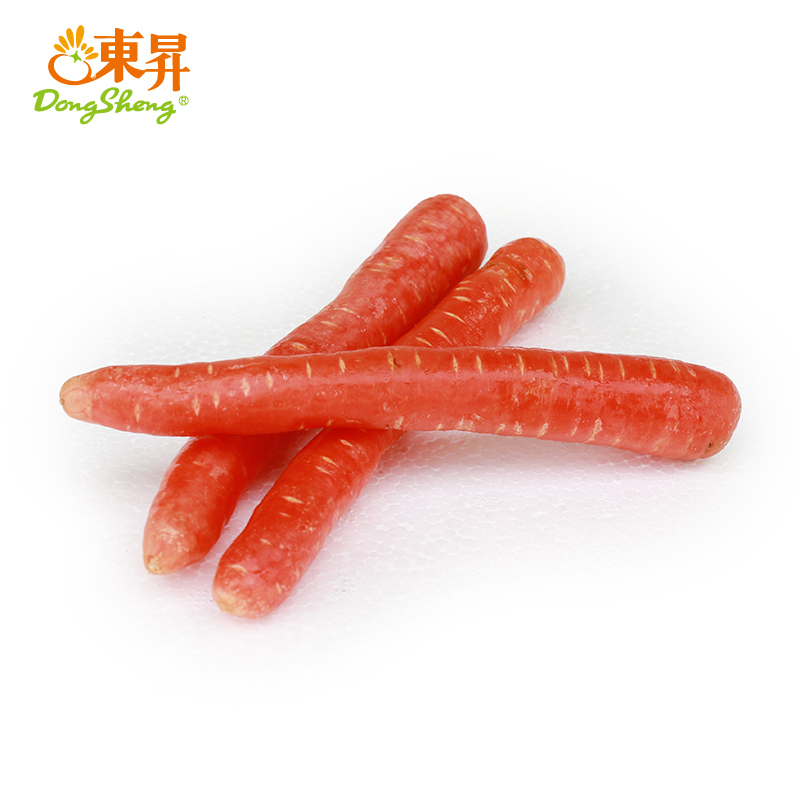 东升农场   水果胡萝卜红萝卜 甜脆榨汁 广州蔬菜新鲜配送 500g