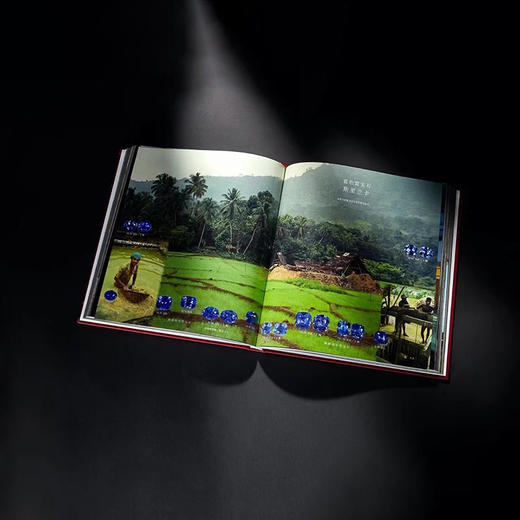 《瑰丽的天然宝石收藏家》 商品图6