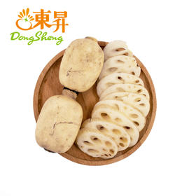 东升农场  新垦莲藕 煲汤莲藕 广州蔬菜新鲜配送 600g