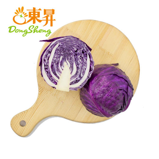 东升农场 紫甘蓝 紫卷心菜包菜紫椰菜红椰菜 广州蔬菜 800g 商品图0