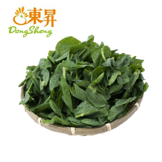 东升农场   豆苗   豌豆尖 荷兰豆苗 新鲜配送200g 商品图0