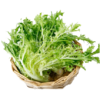 绿源禾心有机苦苣 商品缩略图0
