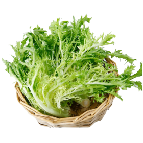 绿源禾心有机苦苣