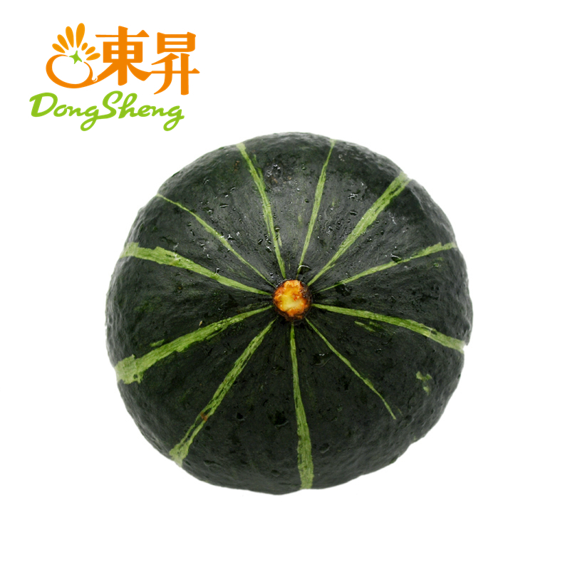 东升农场  青南瓜 万圣节南瓜灯 广州蔬菜配送 1000g