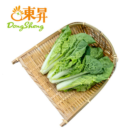 东升 供港杭白苗 杭白菜 小白菜 广州供港蔬菜新鲜配送250G 商品图0