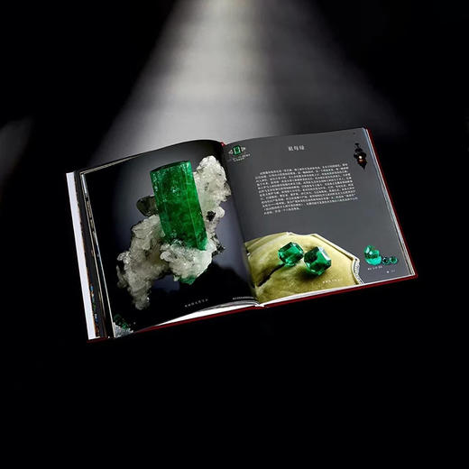 《瑰丽的天然宝石收藏家》 商品图5