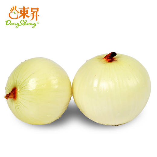 东升农场  黄洋葱 洋葱头 圆葱青菜 广州蔬菜新鲜配送 500g 商品图0