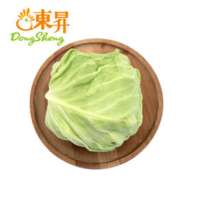 东升农场 青椰菜 卷心包菜球甘蓝圆白菜洋白菜 广州蔬菜 700g
