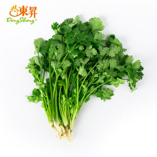 东升农场  香菜 芫茜 广州蔬菜新鲜配送 50g 商品图0