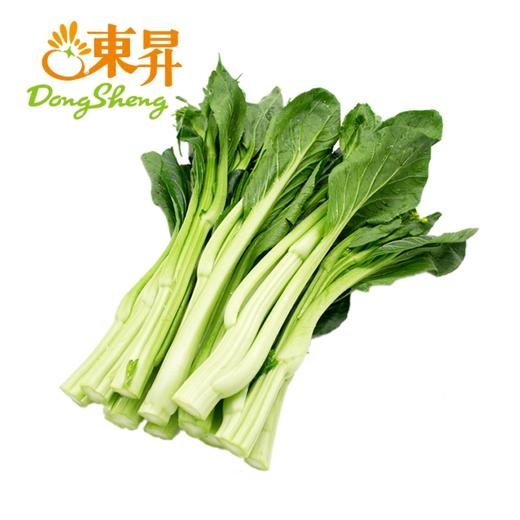 东升供港迟菜心  菜心  广州供港蔬菜新鲜配送300G 商品图0