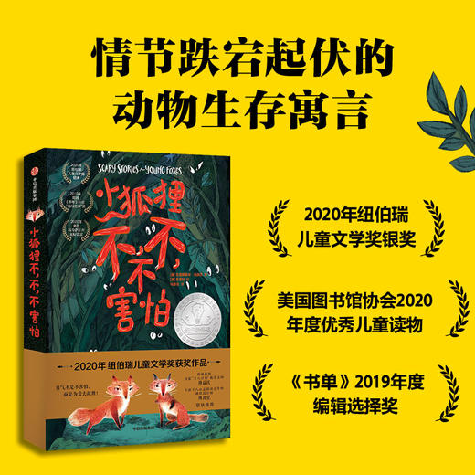 纽伯瑞大奖小说（全4册）  2019-2020年纽伯瑞奖获奖作品精选。大奖小说，陪伴孩子心灵成长。适合8-14岁 商品图2