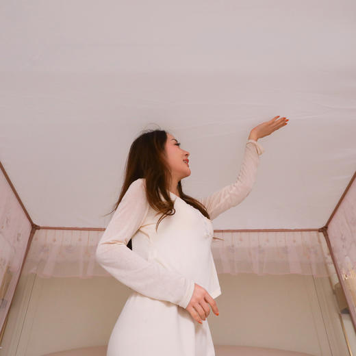 自然醒宫廷落地蚊帐家用1.5米1.8m/2.0m床纹账铝合金支架三开门公主风加密加厚防尘8899HH 商品图3