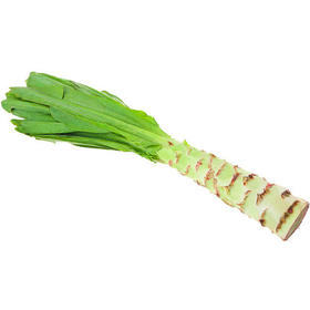 绿源禾心有机莴苣