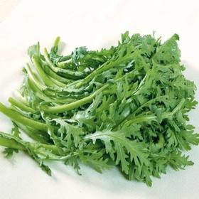绿源禾心有机茼蒿