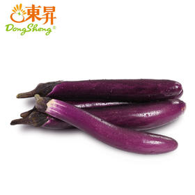 东升农场 紫红茄子 矮瓜 吊菜子 广州蔬菜新鲜配送 500g