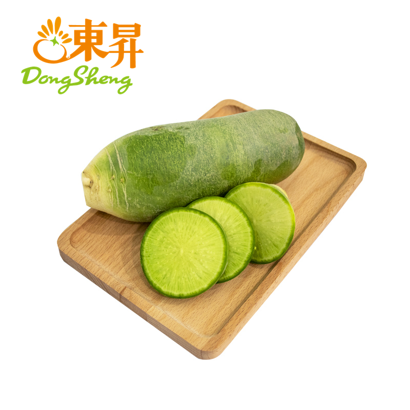 东升农场    沙窝萝卜  青萝卜  绿皮萝卜  广州供港蔬菜新鲜配送400g