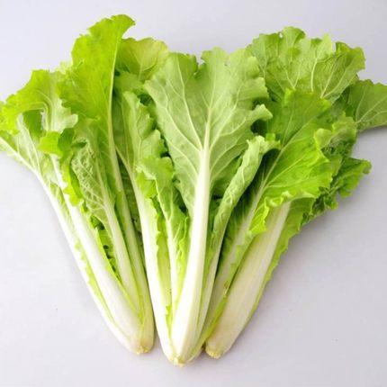 绿源禾心有机小白菜 商品图0