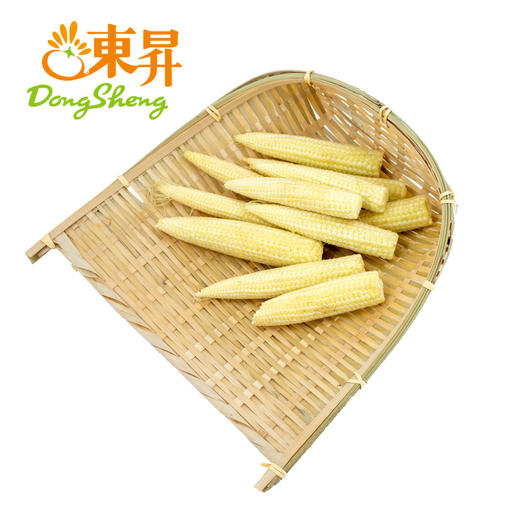 特惠东升农场玉米笋珍珠笋番麦笋广州蔬菜新鲜配送250g
