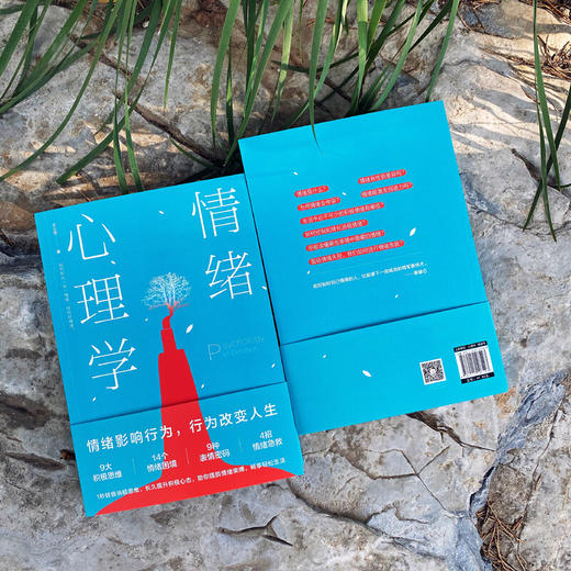 情绪心理学 王小军 著 心理学 商品图2