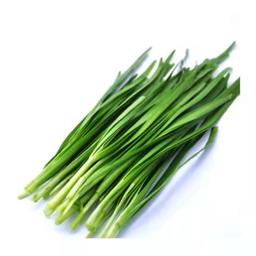 绿源禾心有机韭菜 商品图0