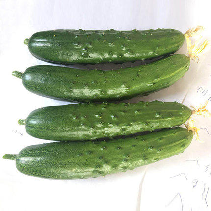 绿源禾心有机旱黄瓜 商品图0