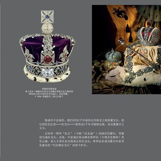 《瑰丽的天然宝石收藏家》 商品图8