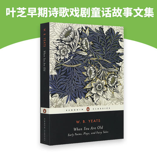 When You Are Old Early Poems 当你老了 英文原版 叶芝早期诗歌戏剧童话故事作品文集 Yeats 获诺贝尔奖 英文版文学进口书籍 商品图3