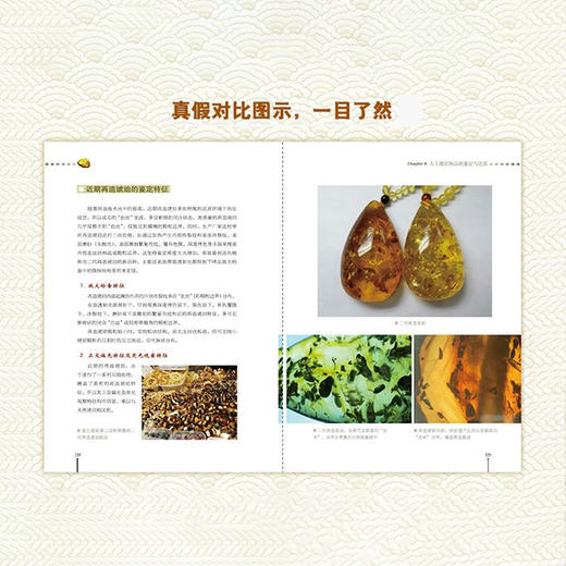 《琥珀辨假》 商品图3