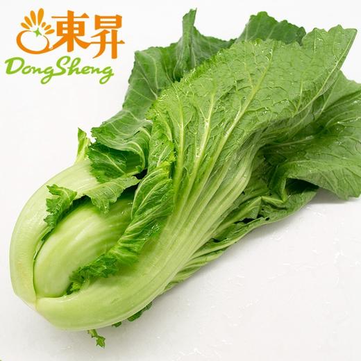 东升农场  芥菜 盖菜  广州蔬菜新鲜配送300G 商品图0