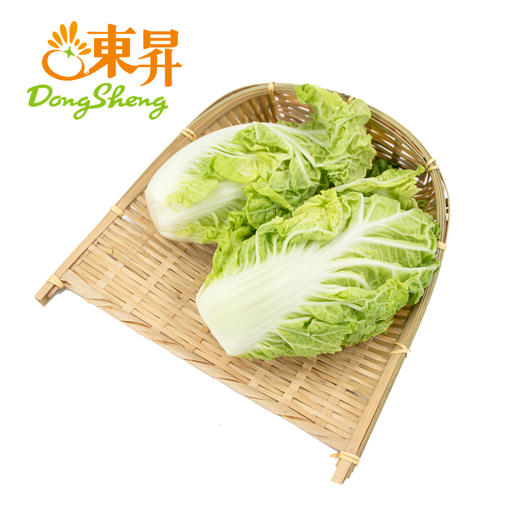 【特惠】东升农场  银丝王菜 青菜 广州新鲜蔬菜配送 300g 商品图0