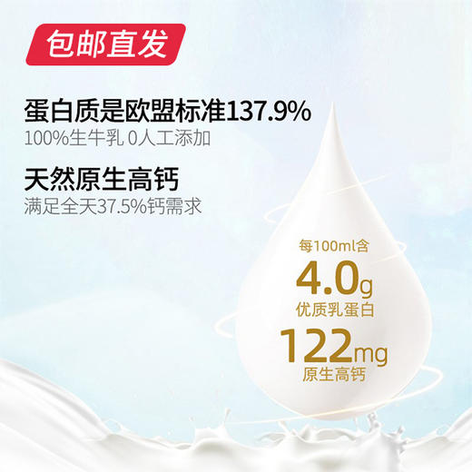 纽仕兰 4.0g蛋白质全脂牛奶 250ml*24盒（包邮直发） 商品图1