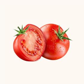 谷宝生态番茄