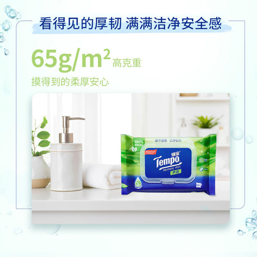 【2包装】得宝（Tempo） 湿厕纸 植物呵护敏感肌专用40片/包x2包 经期可用抽取式湿厕纸（新旧包装随机发货） 商品图3