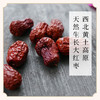 西北黄土高原天然生长大红枣 不用化学剂处理 手工精选优质果实 750g/袋气血姜枣茶原料 商品缩略图1