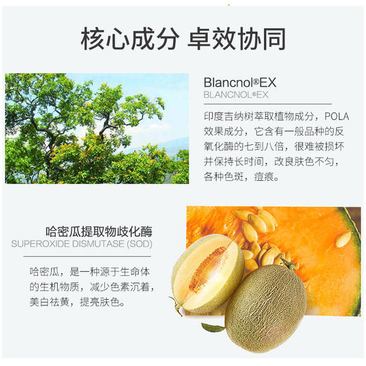 【中欧班列精选】日本POLA宝丽美白丸180粒/盒 商品图3