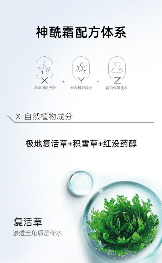 婷美面霜女补水保湿秋冬高滋润锁水复活草水光嫩肤胶原霜护肤品   50g 买一送一 送同款 商品图3